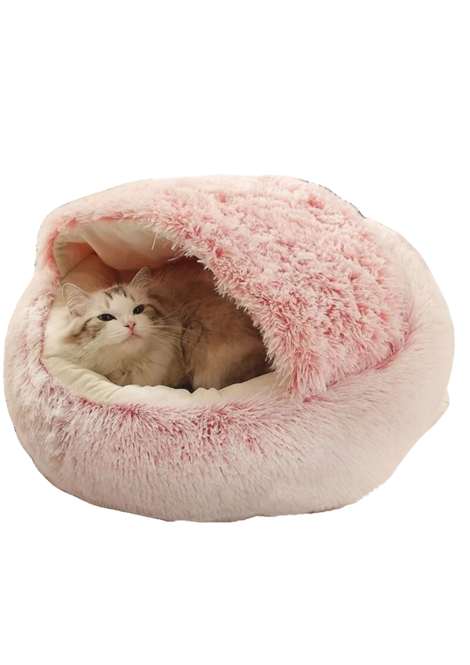 Dreamy Pet Beds